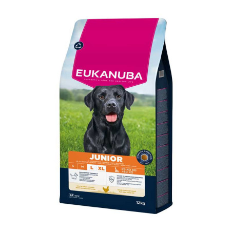 Croquette Eukanuba junior